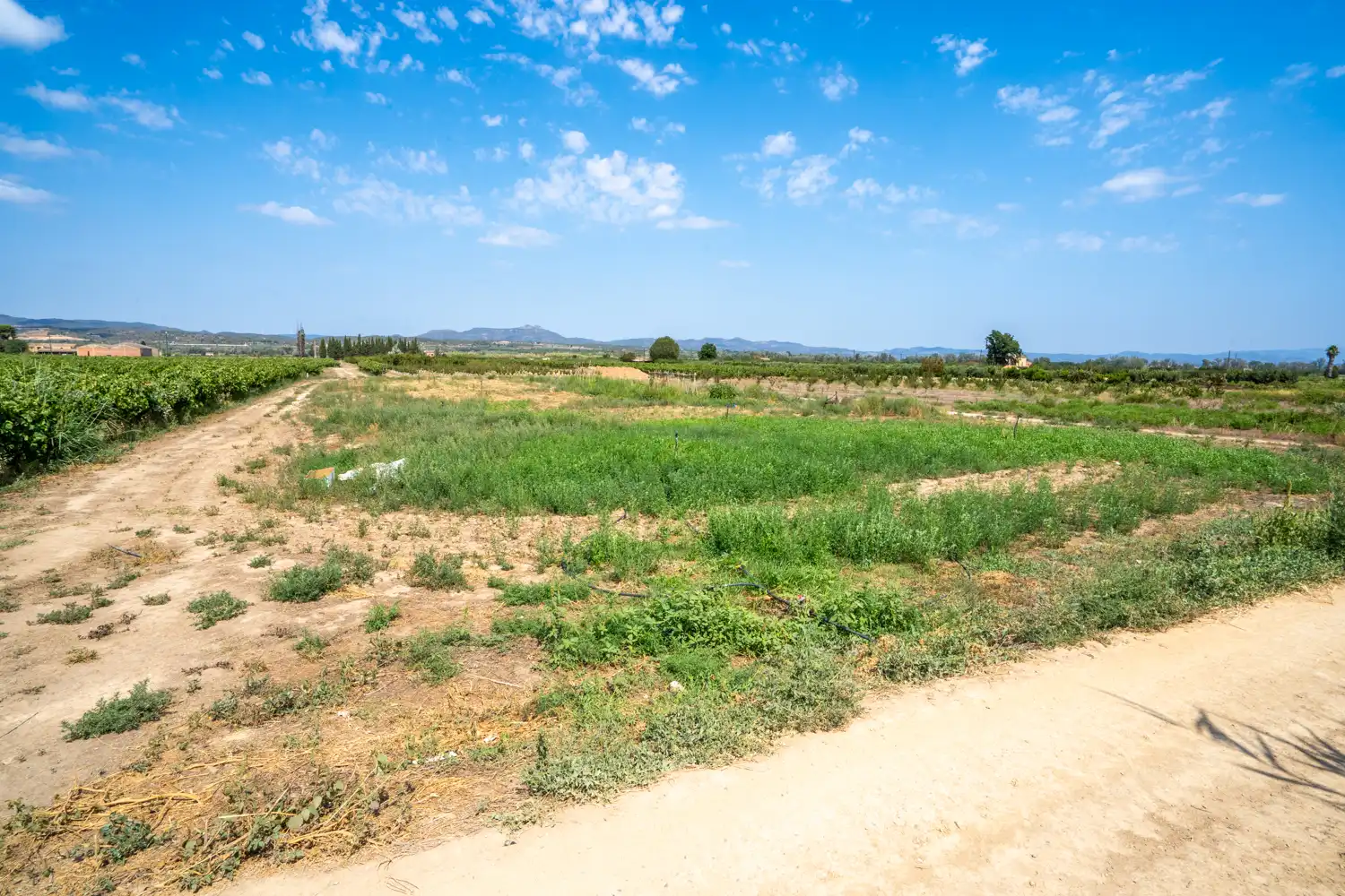 Rural land for sale in Carrer Barca, imagen 4