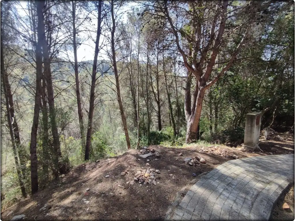 Residential for sale in La Font d'en Carròs