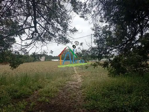 Finca rústica en venta en Almonte