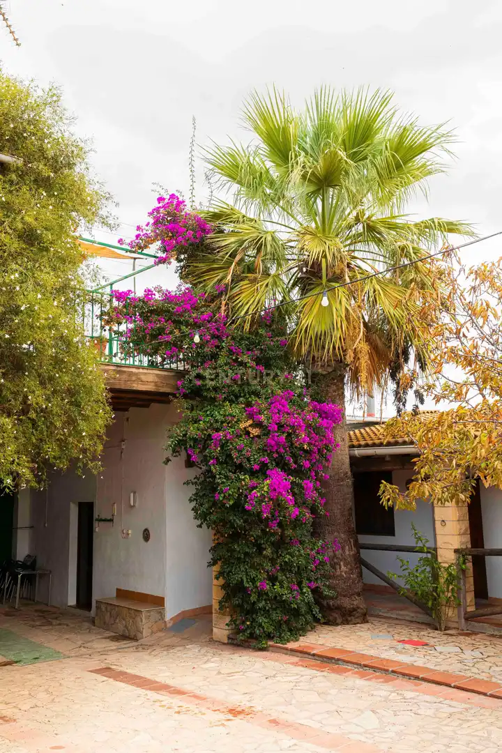 Casa o chalet en venta en Polígono 15 Parcela 60 EL VINCULO. CAMPILLOS (MÁLA, -1, Campillos