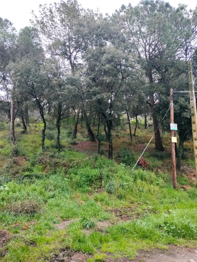 Terreno residencial en venta en Carrer Llessami, imagen 3