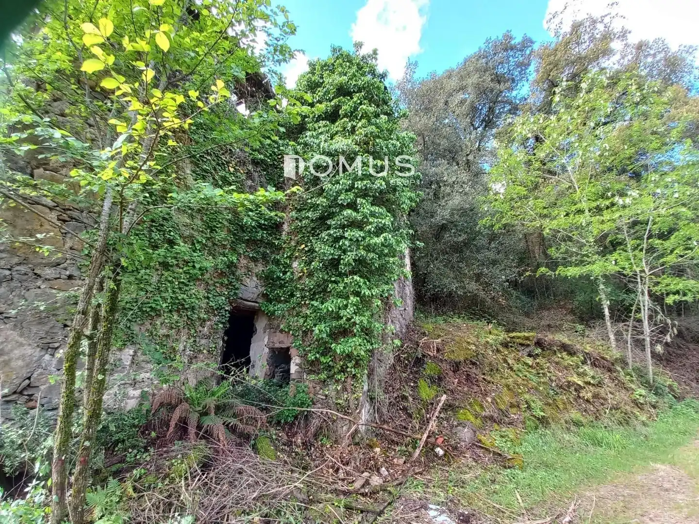 Finca rústica en venta en Sant Joan Les Fonts