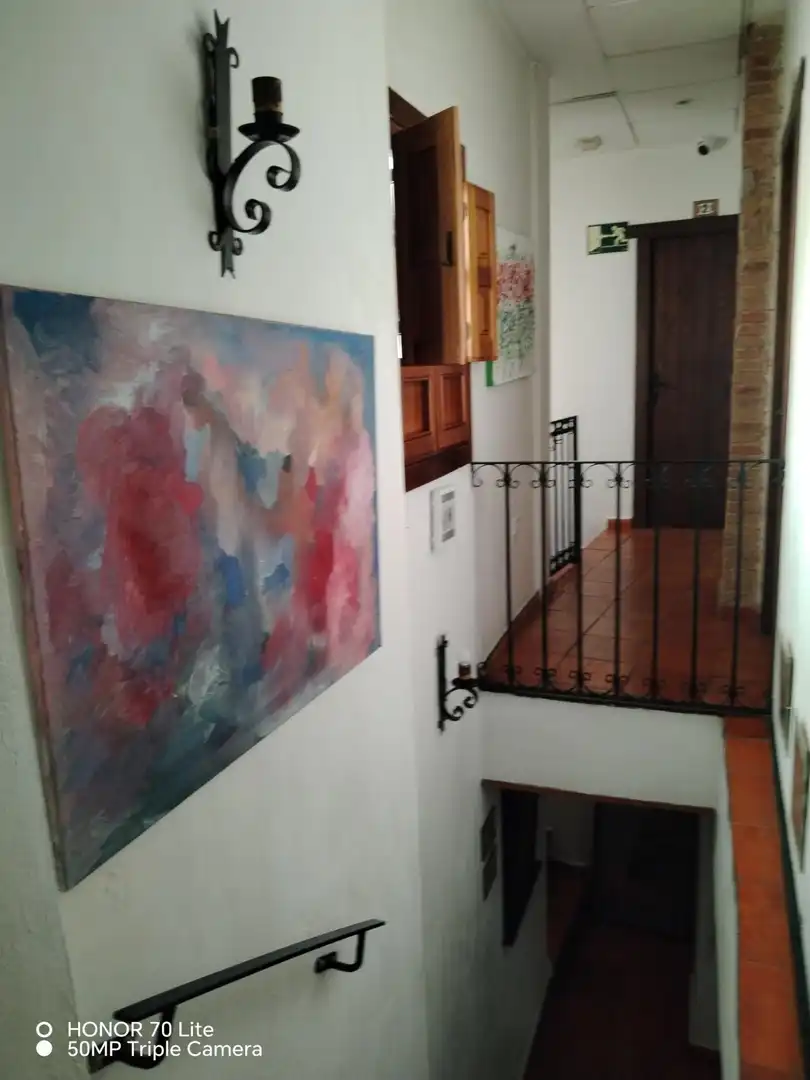 Inmuebles singulares en venta en Centro, imagen 9