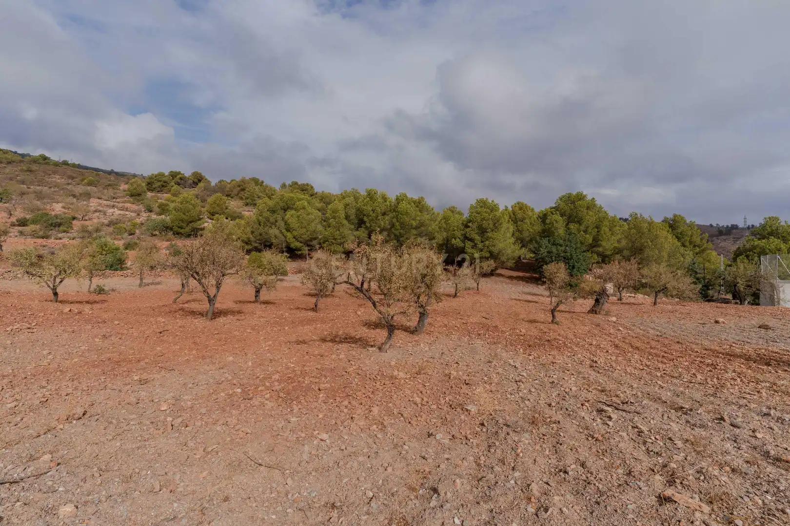 Terreni e lotti in vendita a PHPX+WF Gualchos, Spain, imagen 17