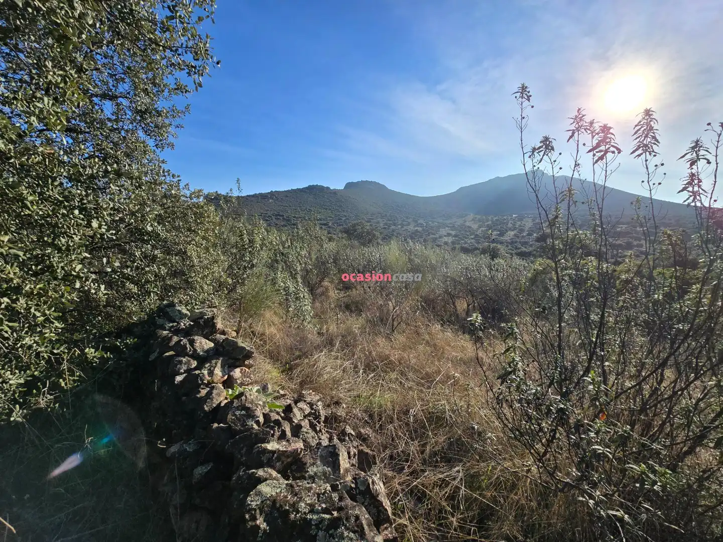 Casa o chalet en venta en Santa Eufemia