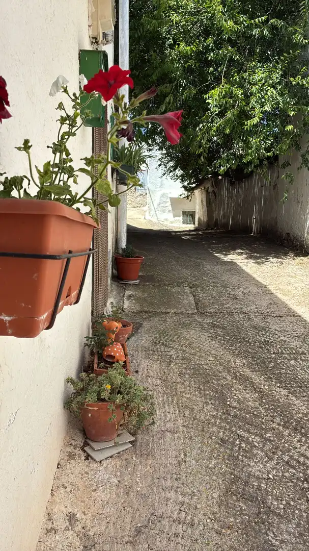 Haus zum Verkauf in Calle Buenavista 12, imagen 39