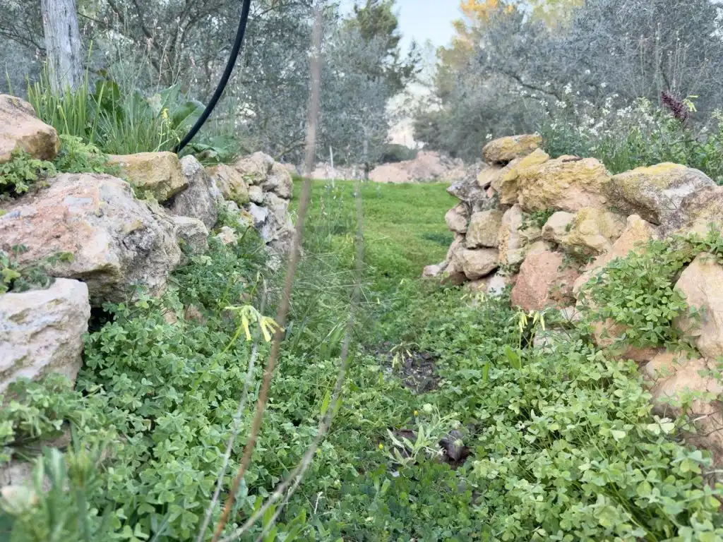 Houses for sale in Sant Josep de sa Talaia  with Private garden