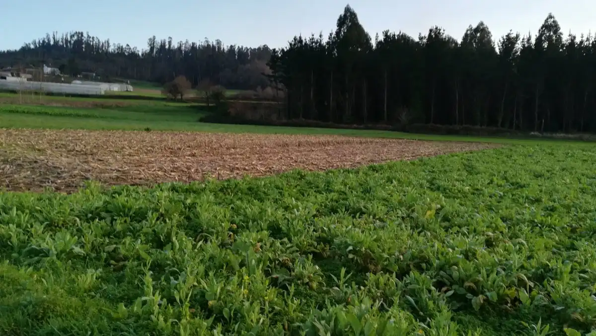 Terreni e lotti in vendita a Lugar NOENLLE, imagen 11