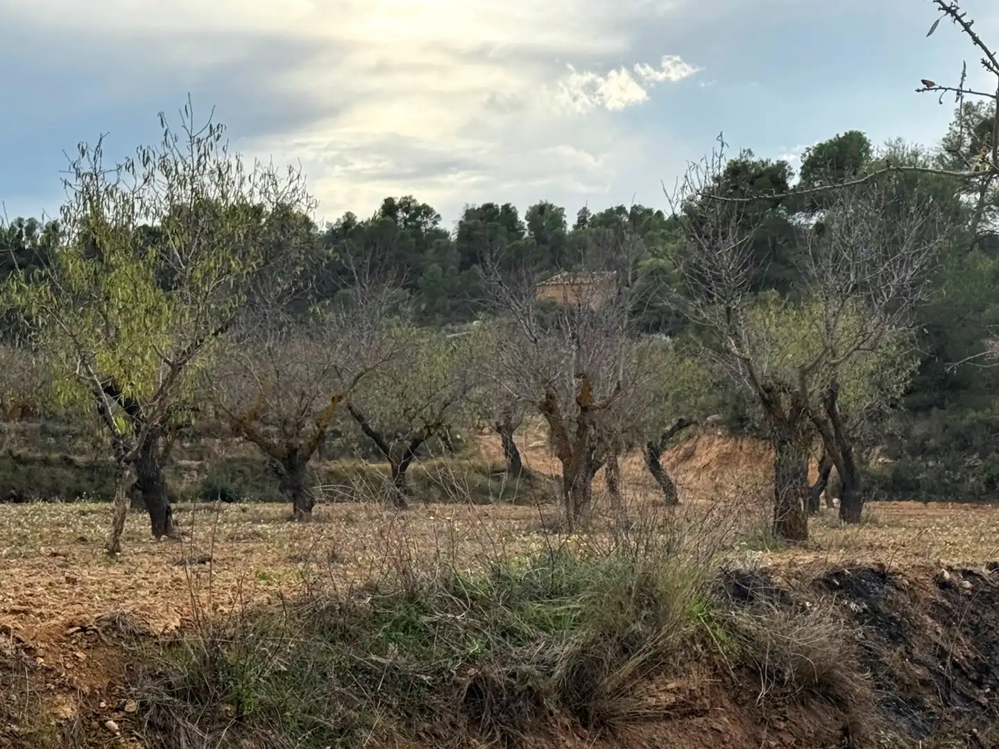 Terreni e lotti in vendita a Alcañiz, imagen 4