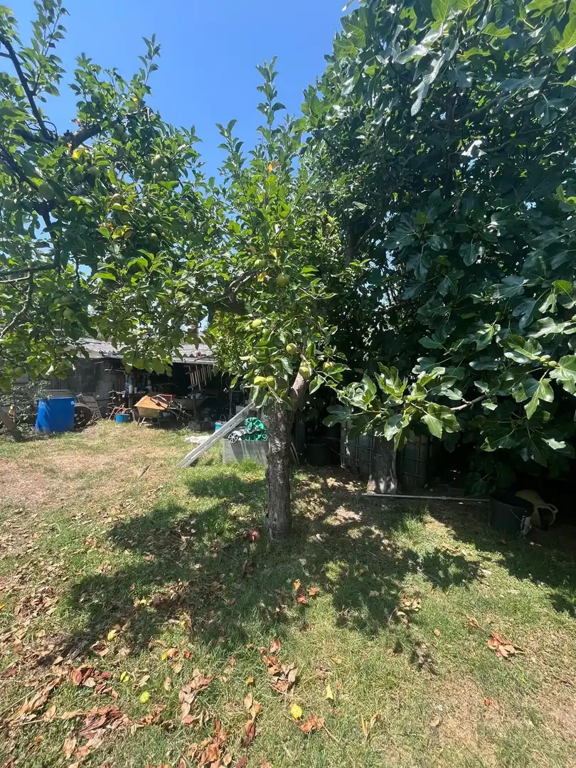 Maison à vendre à Silvas, imagen 78