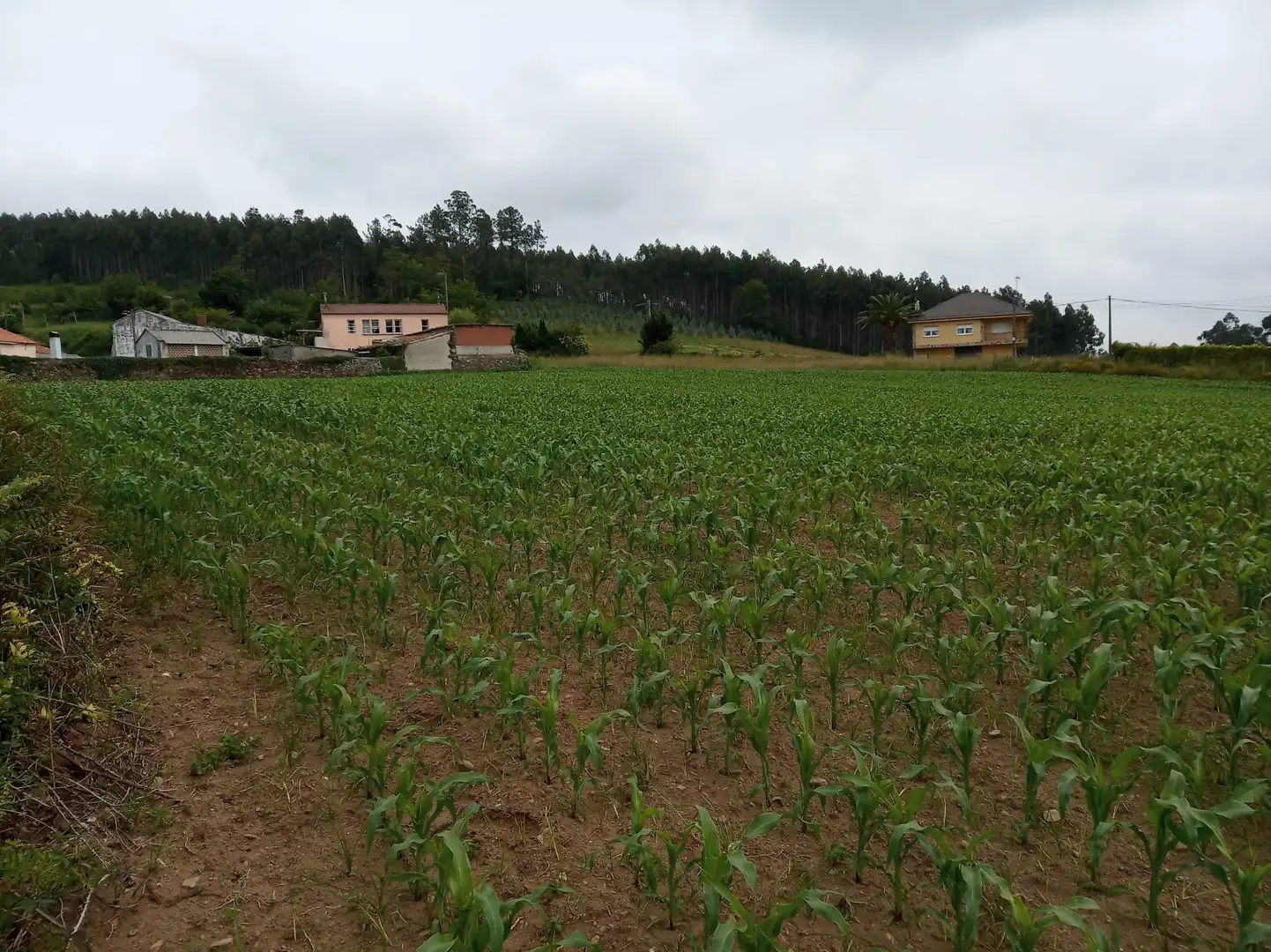 Wohnbaugrundstück zum Verkauf in Carballo, imagen 5