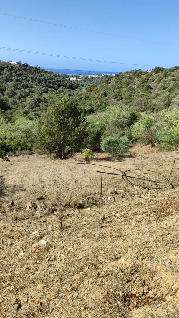 Finca rústica en venda en Marbella amb Aire condicionat, Calefacció i Jardí privat