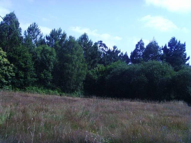 Casa-chalet en Venta en Abegondo