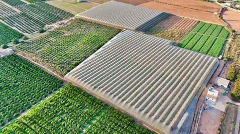 Foto 4 de Finca rústica en venda a Urbanizaciones, Llíria