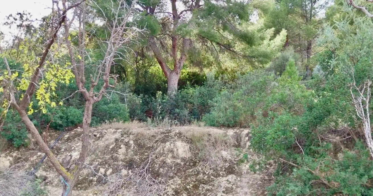 Terreno rustico in vendita a Platja de Torres, imagen 20