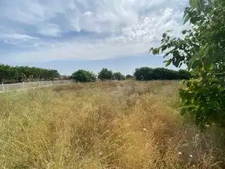 Houses for sale in Partida De Hornillos, Moratalla