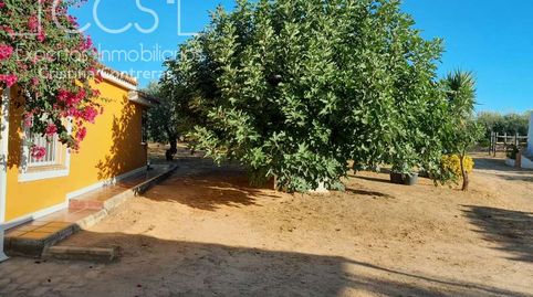 Foto 5 de Finca rústica en venda a Rociana del Condado, Huelva