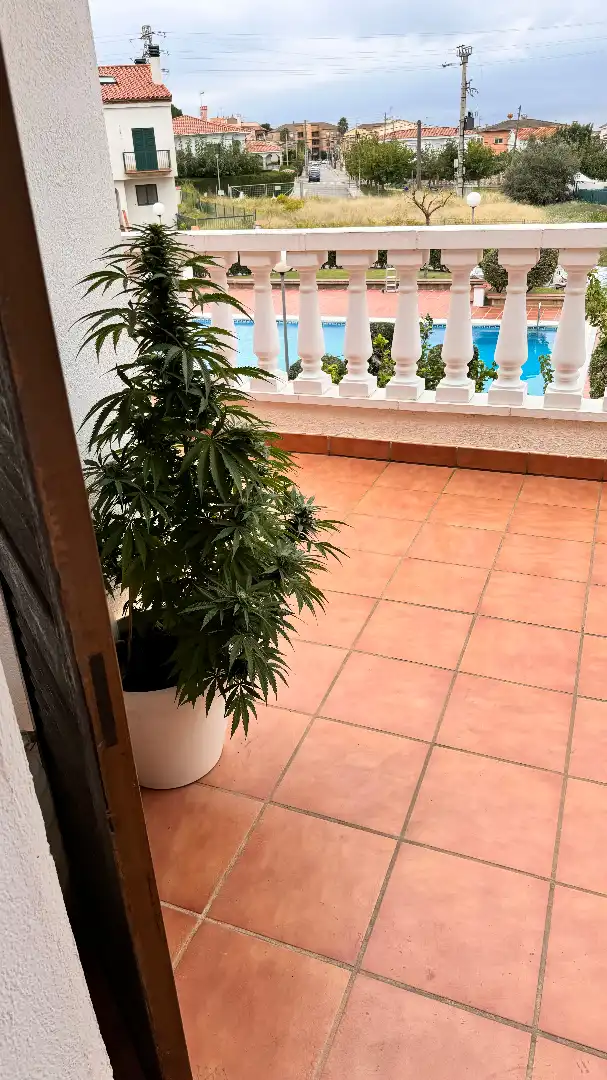 Terrassa de Casa adosada en venda en Torredembarra amb Jardí privat, Terrassa i Traster