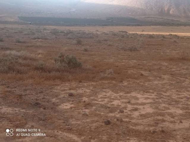 Terreno en Venta en Femés