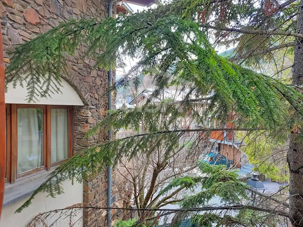 Detached house for sale in Plaça d'Escàs, 7 7, imagen 20