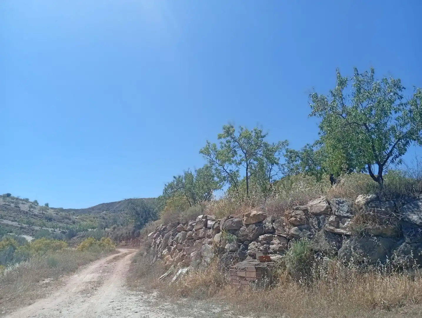 Rural land for sale in Lubrín