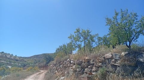 VENTA DE TERRENO RÚSTICO EN CANTORIA ALMERÍA