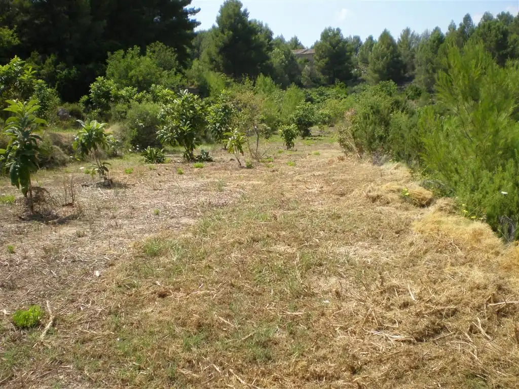 Terreno en venta en Callosa d'en Sarrià