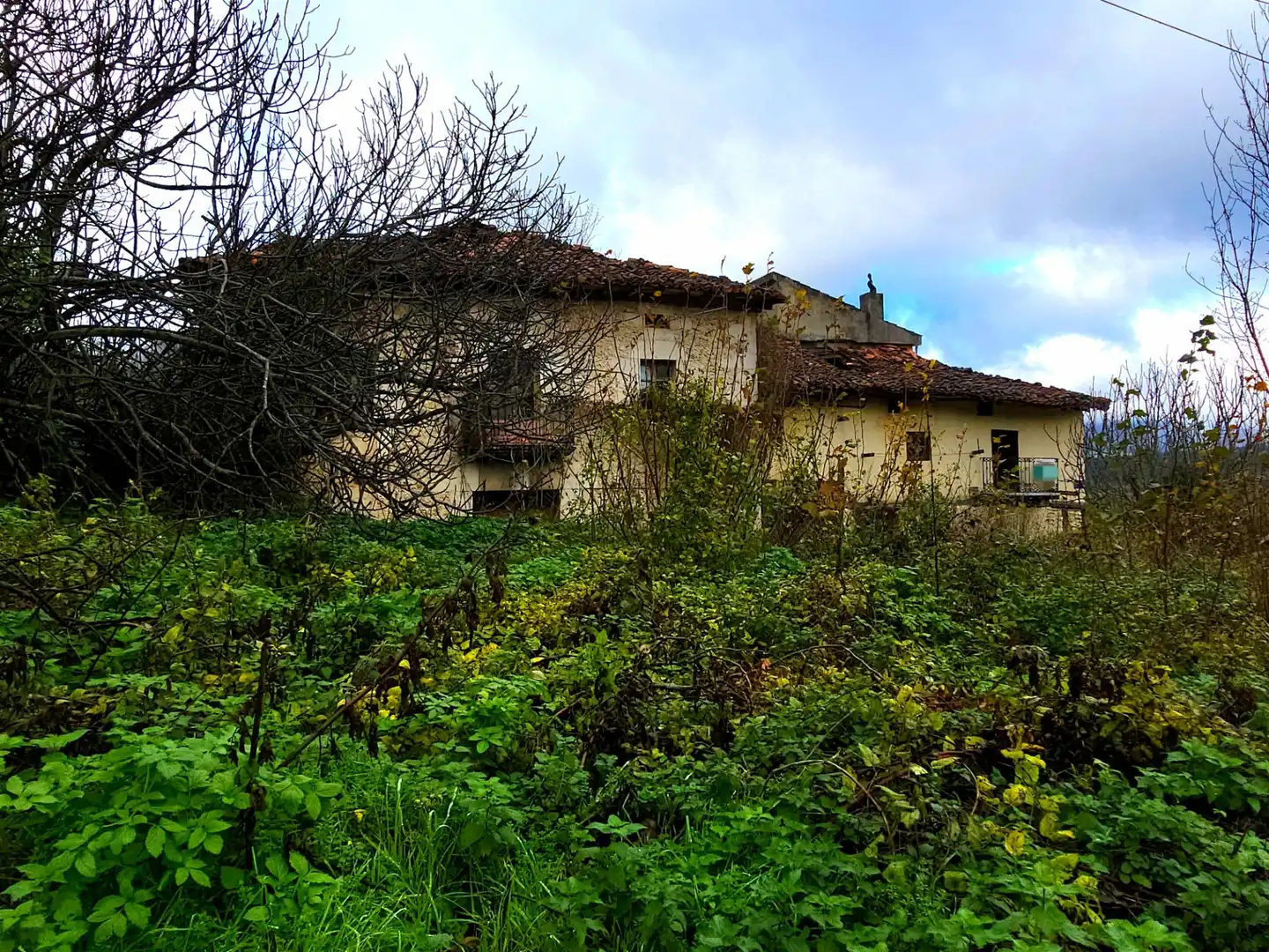 Vista exterior de Casa o xalet en venda en Valle de Mena