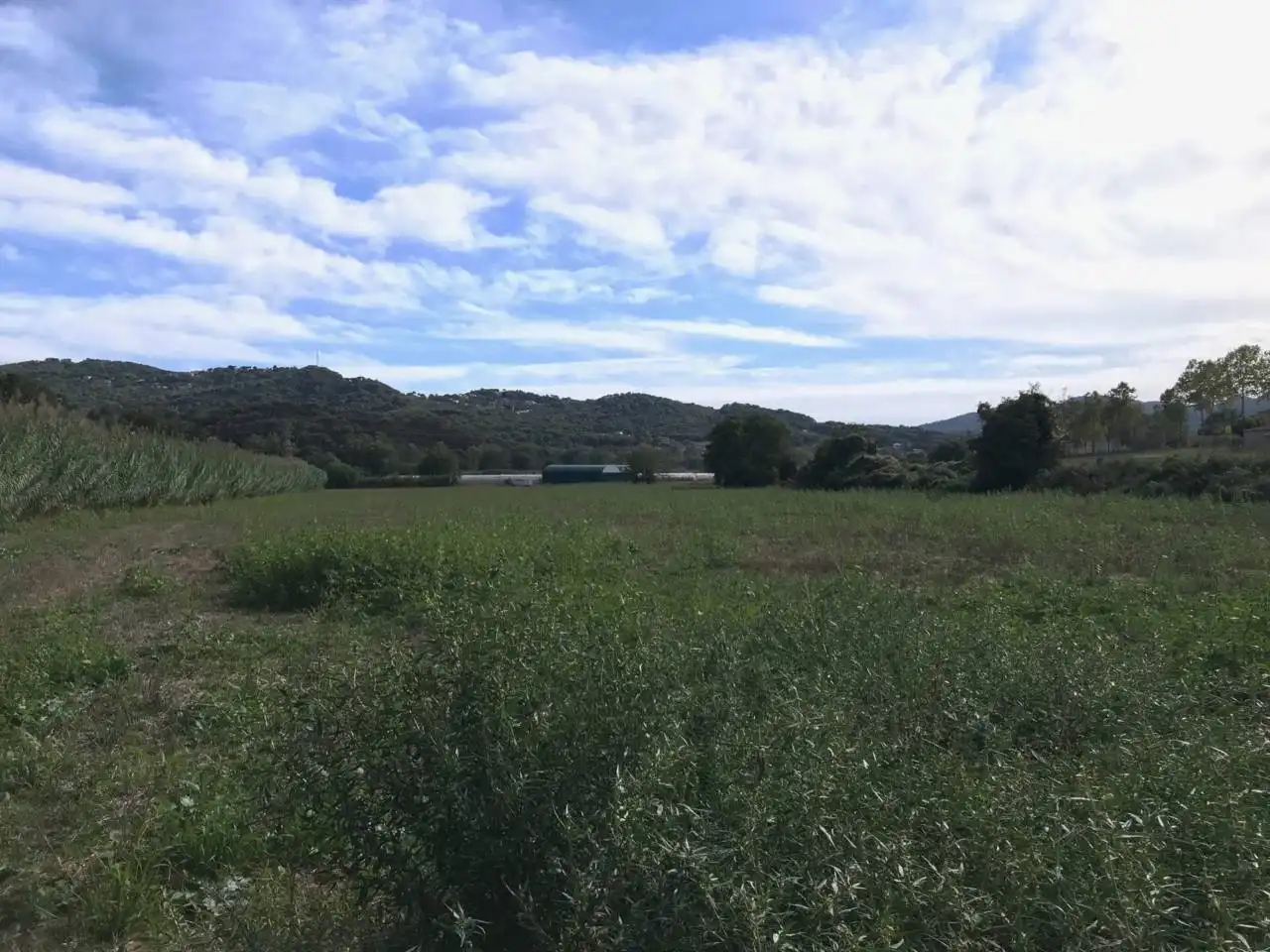 Land for sale in Vilanova del Vallès