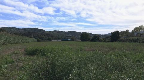 Terreno rústico NO EDIFICABLE sólo para uso exclusivamente agrícola, immagine 5