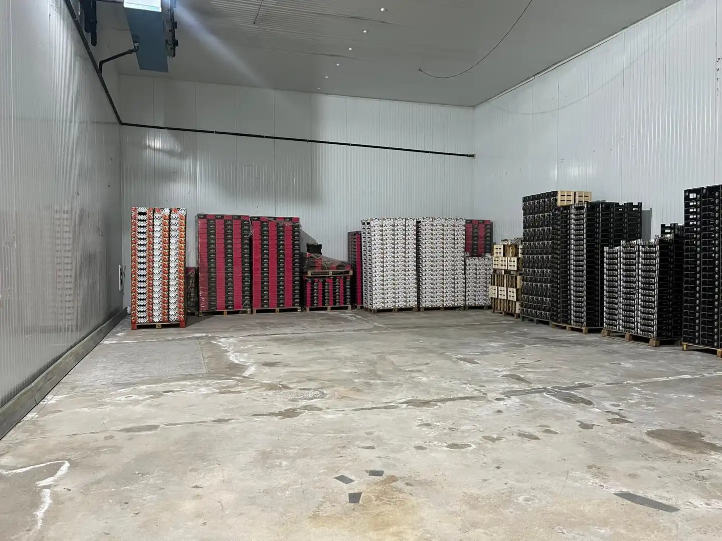 Fabrikhallen zur Miete in Elche / Elx