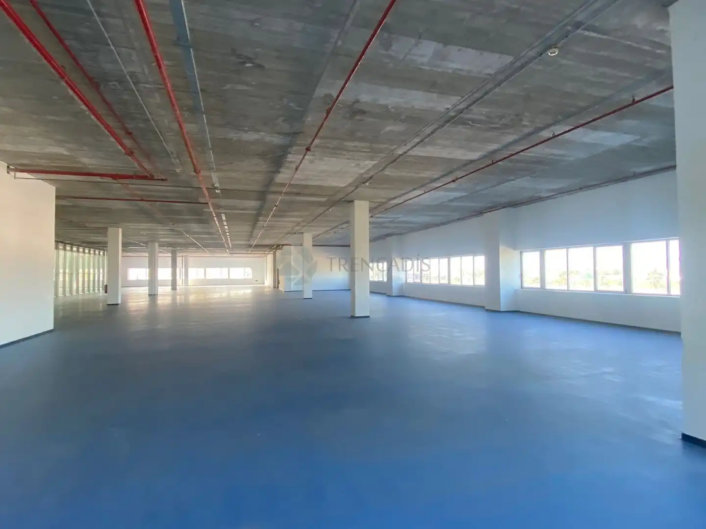 Gewerbefläche zum Verkauf in edificio el mundo