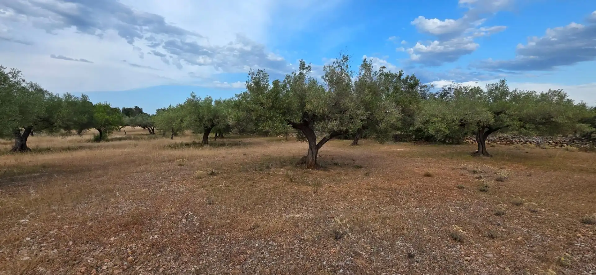 Maison rustique à vendre à L'Ametlla de Mar pueblo, imagen 4