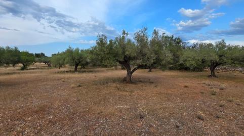 Photo 4 of Country house for sale in L'Ametlla de Mar pueblo, Tarragona