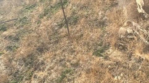 Foto 5 de Terreno en venta en Huécija, Almería