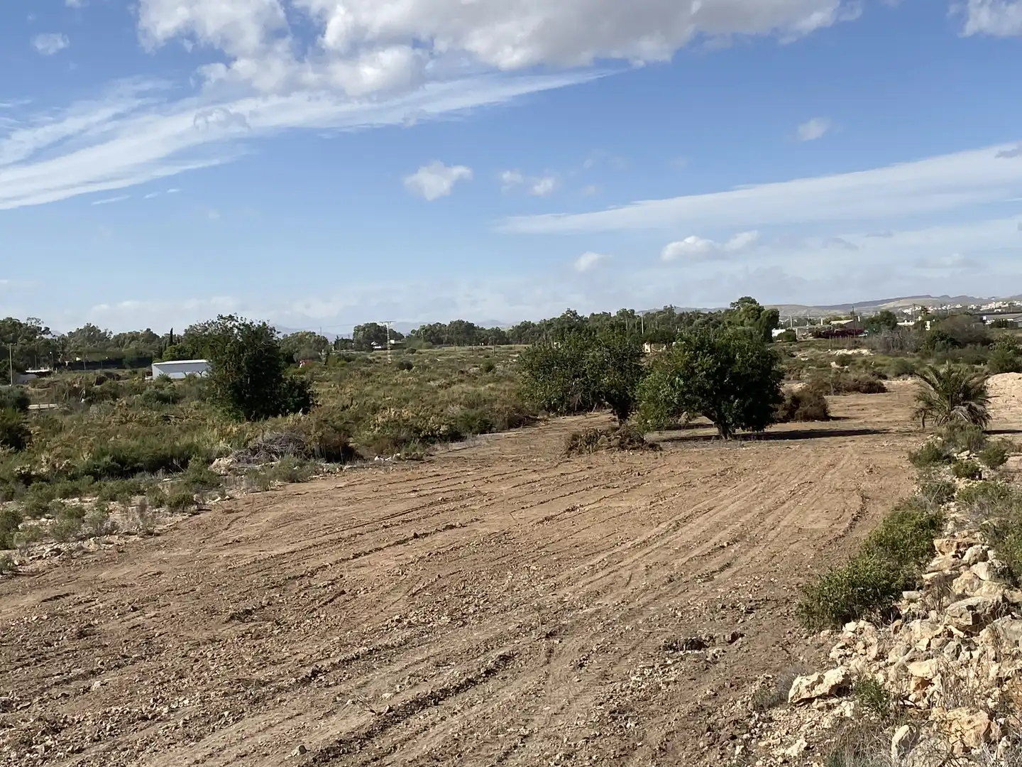 Land for sale in Elche / Elx