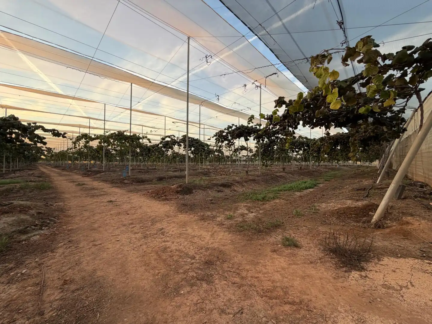 Finca rústica en venda en Urbanizaciones  