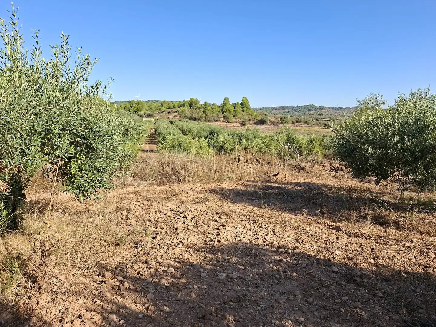 Terreno rustico in vendita a Diseminado Diseminats 6, imagen 20