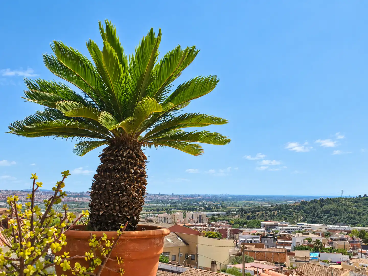 Vista exterior de Casa o chalet en venta en Sant Vicenç Dels Horts con Aire acondicionado, Calefacción y Jardín privado