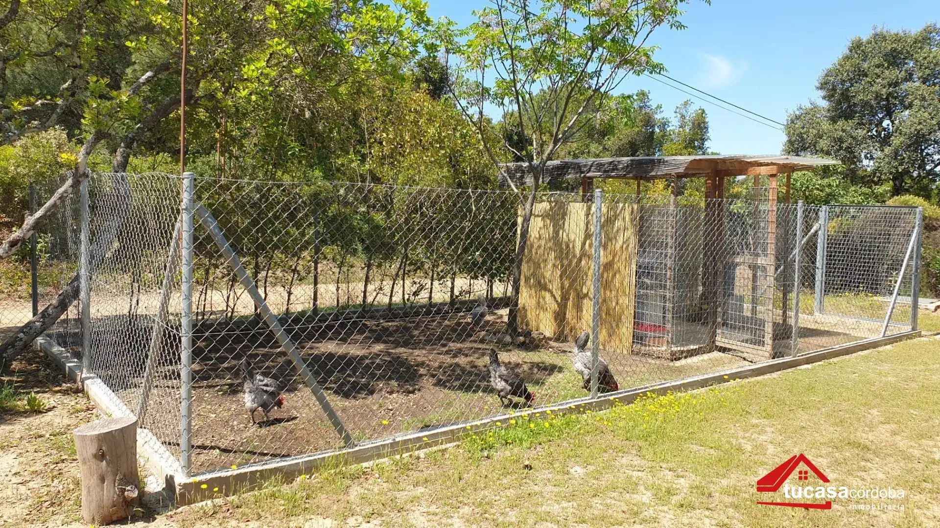 Jardí de Residencial en venda en Córdoba