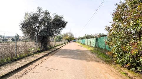 Photo 4 of Land for sale in Urbanizacion Polígono 288 Paraje 768 Calamon, Casco Antiguo, Badajoz