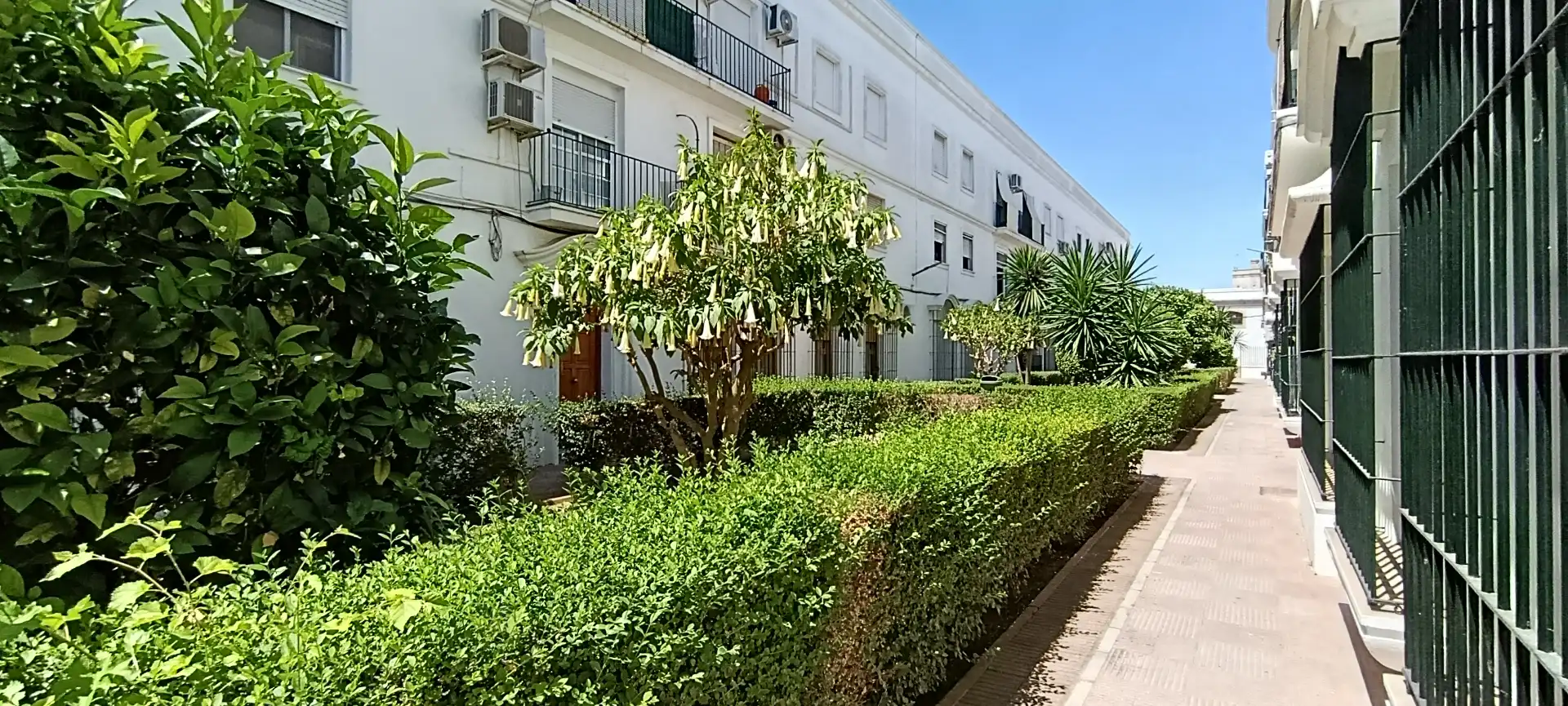 Vista exterior de Pis en venda en El Puerto de Santa María