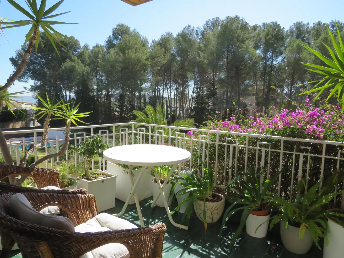 Casa o xalet en venda a Passeig Maria Cristina, Vallirana