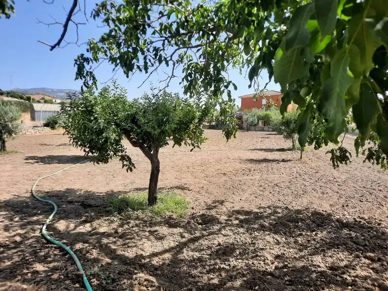 Terreni e lotti in vendita a Nombela