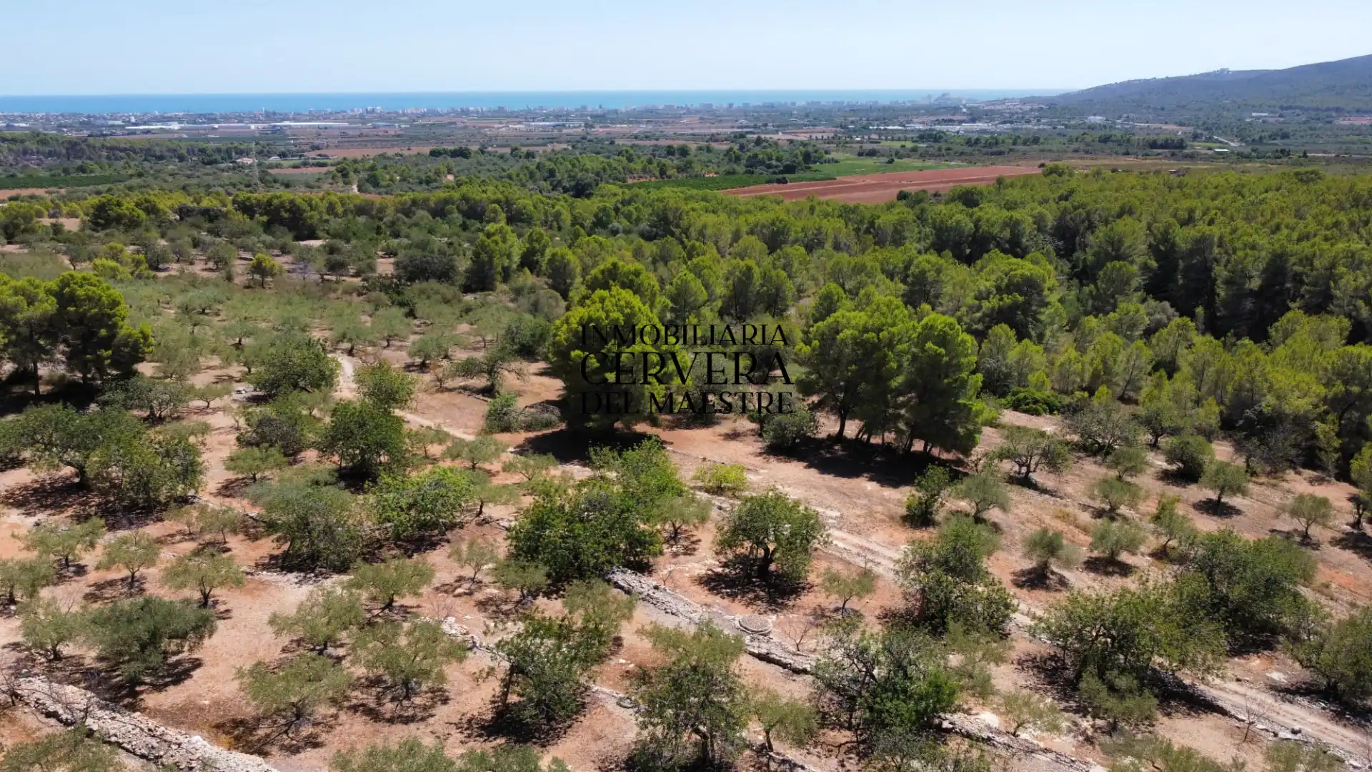 Rural land for sale in Vía Po Polígono 17 60, imagen 36
