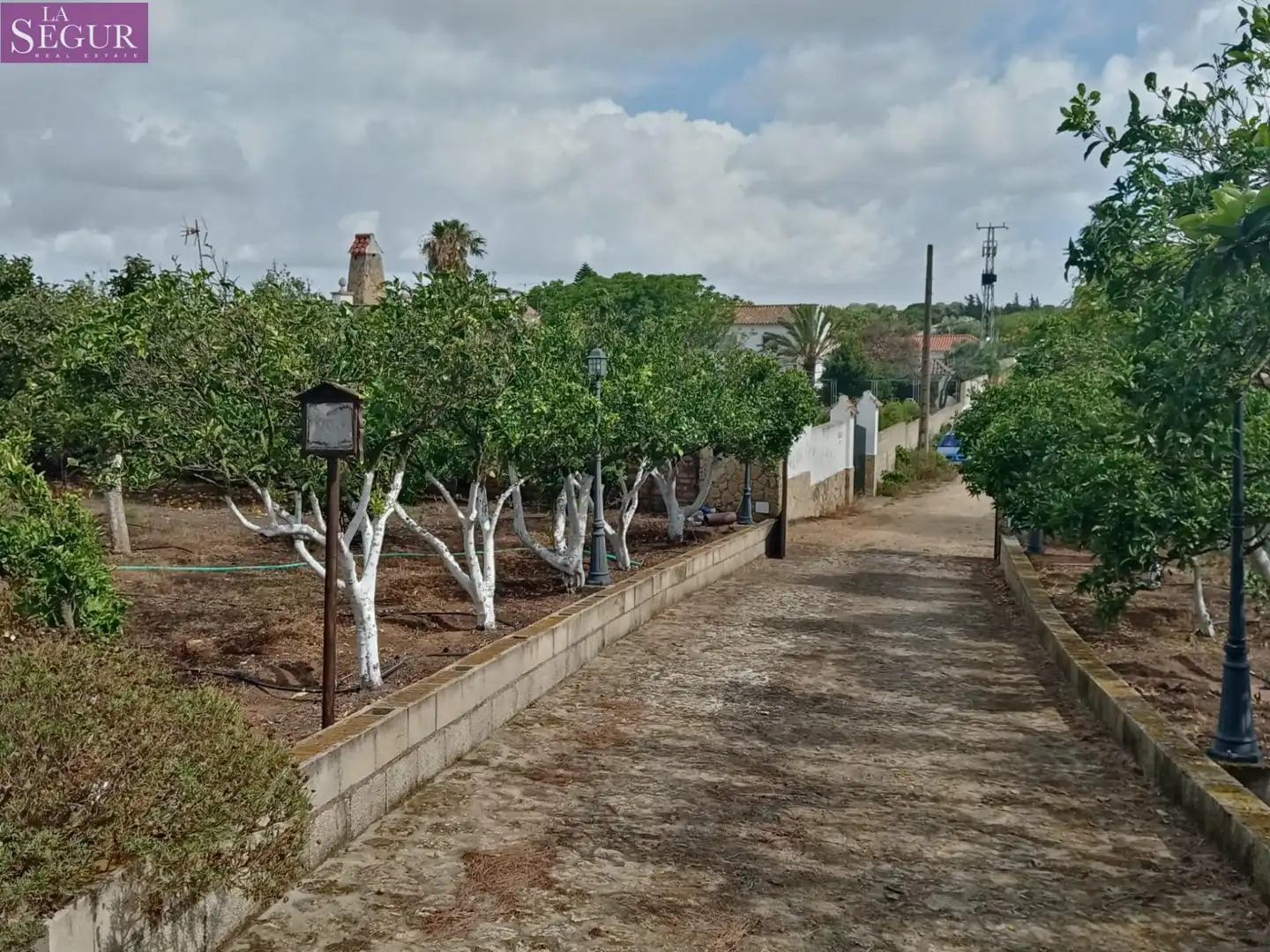 Maison rustique à vendre à Vejer, imagen 7