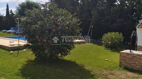 Foto 4 de Finca rústica en venta en Los Franceses – La Vega, Chiclana de la Frontera