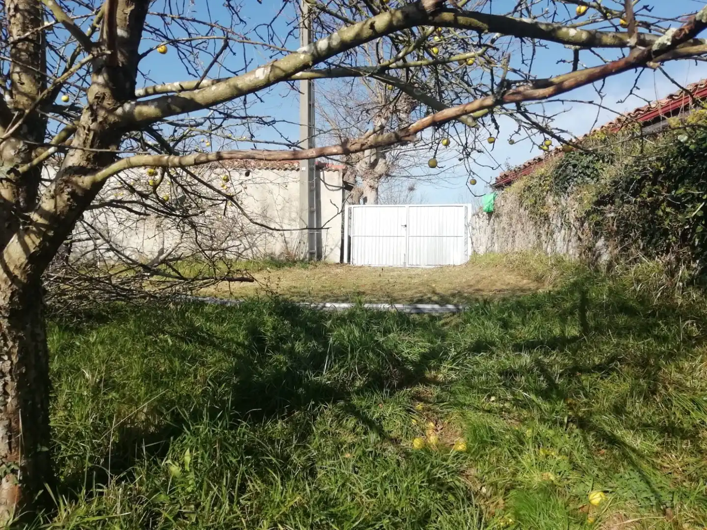 Terreno rustico in vendita a Villaviciosa - Breceña, imagen 9