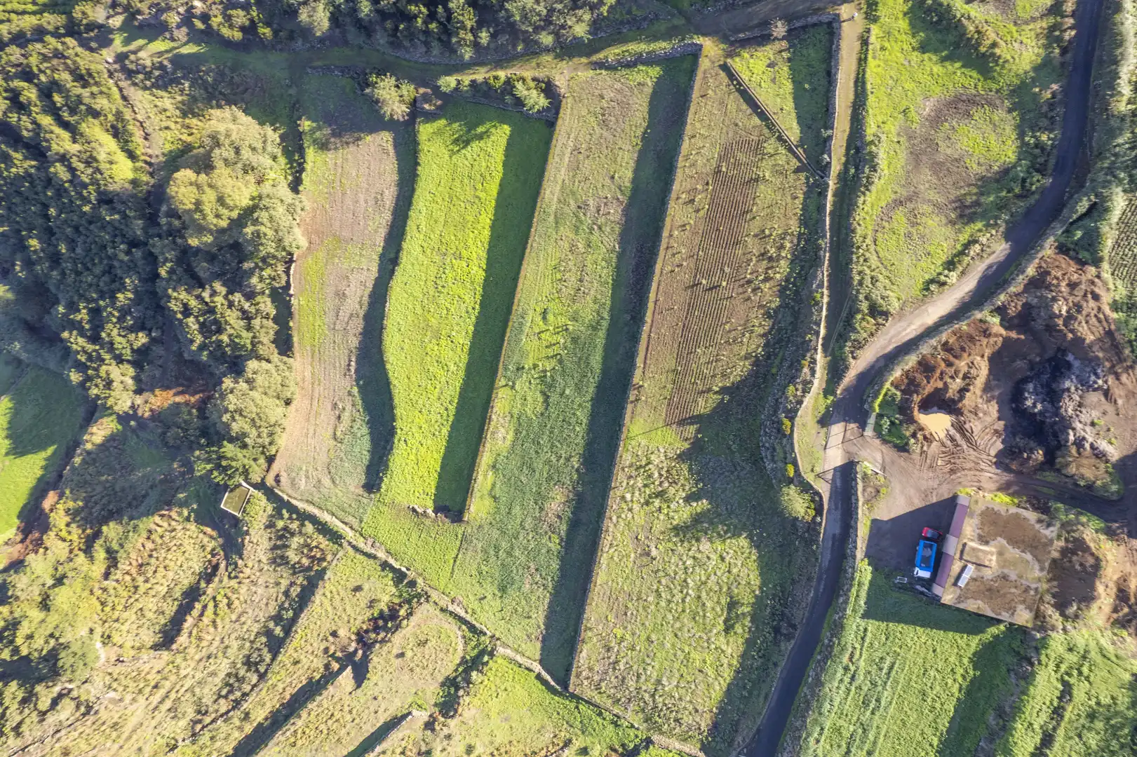 Country house zum Verkauf in Los Realejos