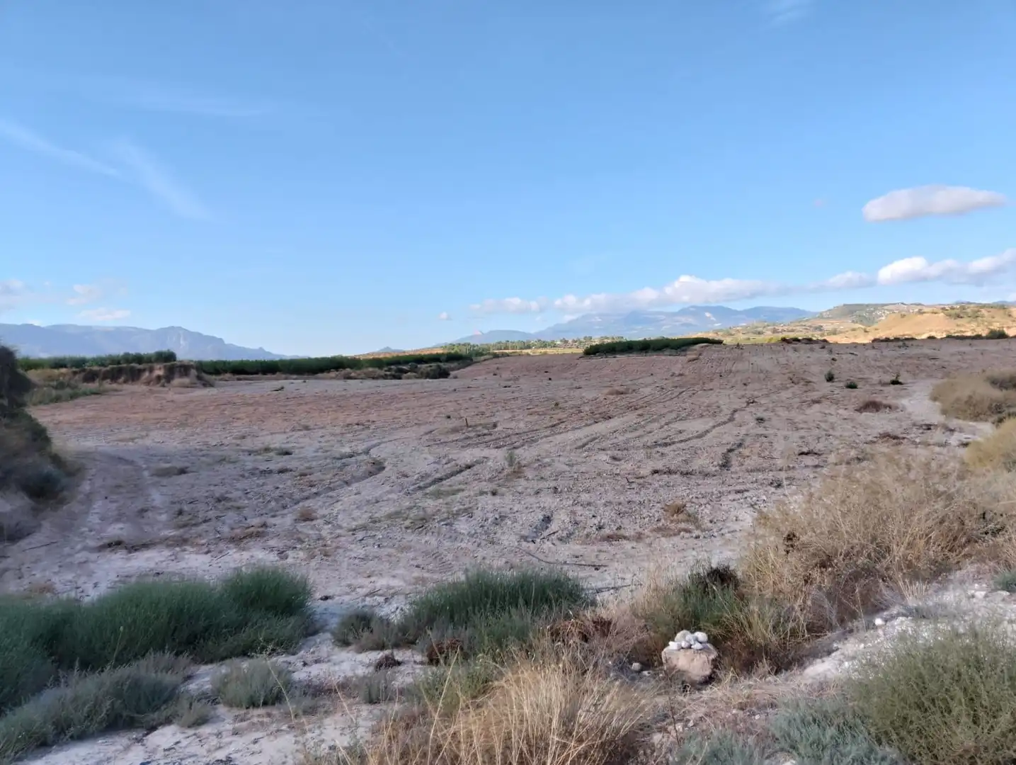 Lands and plots for sale in Mula, imagen 5
